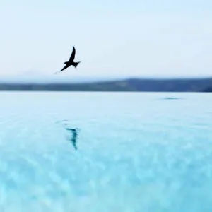 4* Hotel Stefanija Small Boutique Hotel&restaurant